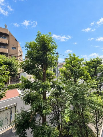 展望