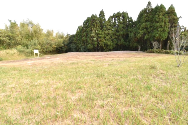 外観：346000031551