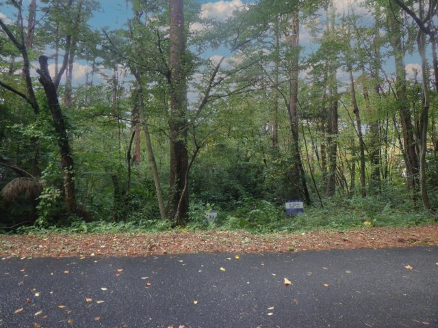 外観：331000016789