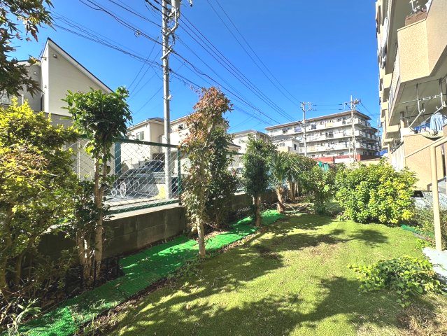 庭