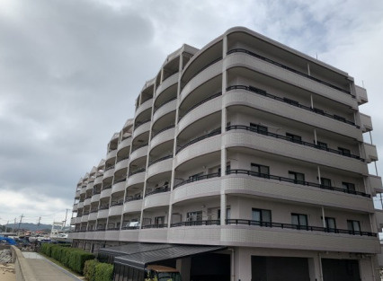 外観：340000250203