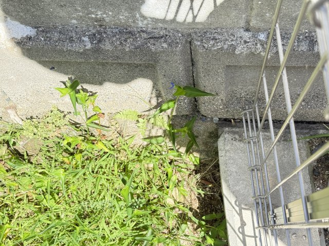 住まいの周辺には自然が感じられる緑があり、落ち着いた雰囲気を演出しています。静かな住環境でありながら、近隣には住宅が並び安心感のある立地。日常生活にゆとりを与える穏やかな環境が魅力です。　