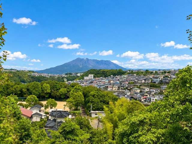 展望
