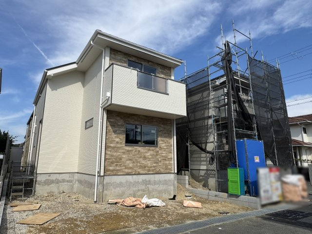 2026年7月3日撮影