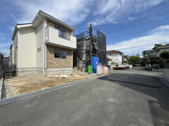 2026年7月3日撮影