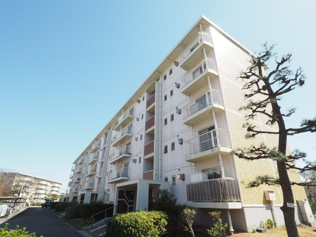 外観：312001196555