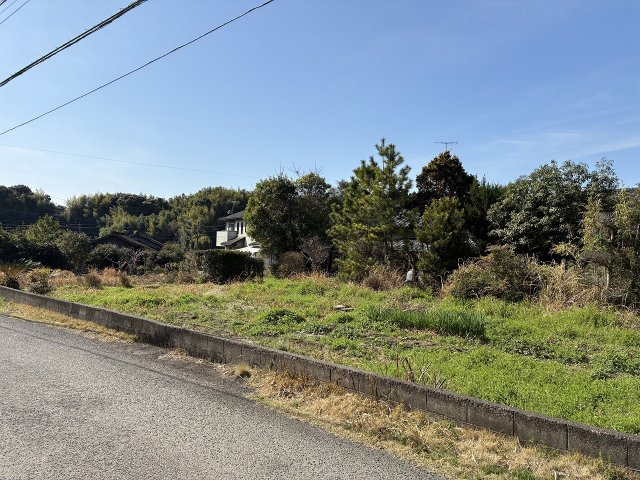 外観：346000040871