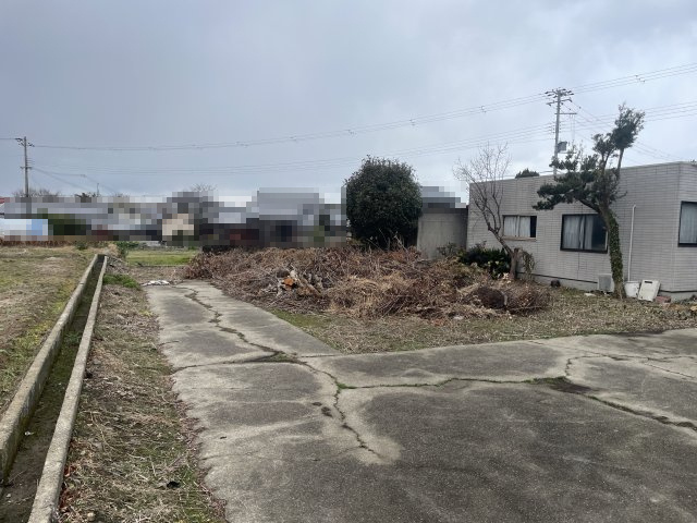 令和7年1月撮影