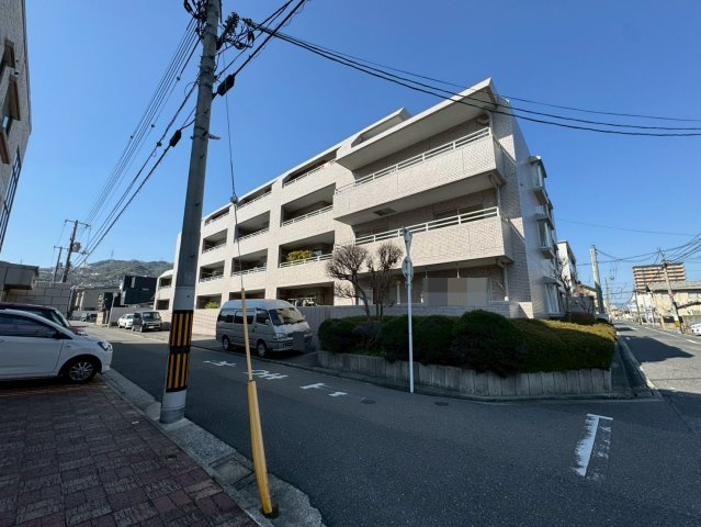 外観：334000144973