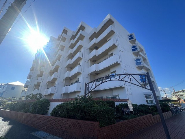 外観：314002241285