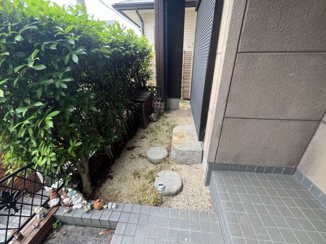 庭