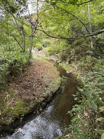 軽井沢らしい、四季を感じられる敷地。部屋からも小川の音が聞こえます。