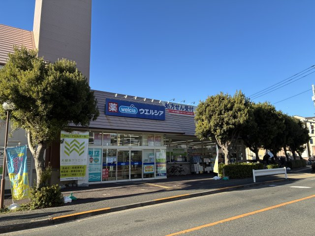 ウエルシア大田上池台店