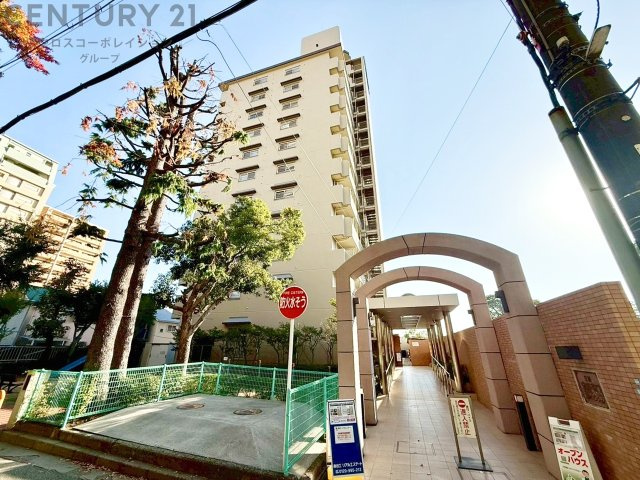 外観：328000551762