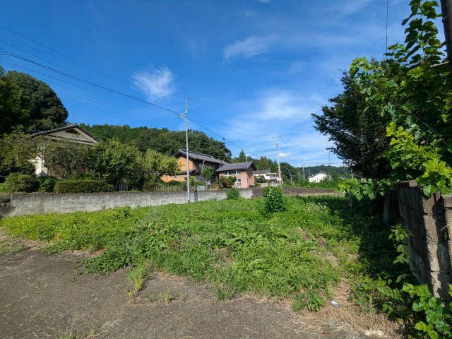 外観：310000088467