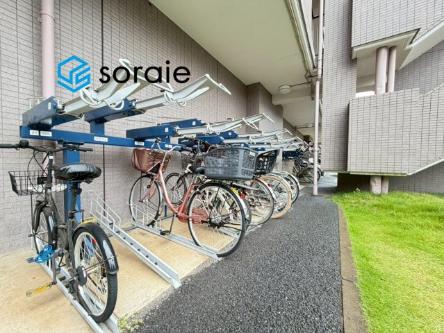 6/25　撮影