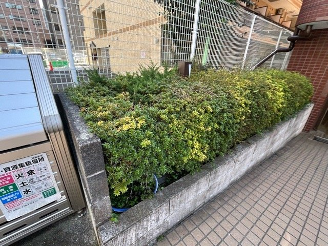 中庭（パティオ）とは、一つの建築物の内部に設けられた、壁などで囲われている庭のことを指します。コの字型、ロの字型が主流ですが、L字型の中庭もあります。最近では、インテリア性の高さからも人気があります。