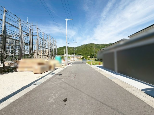 現地写真(5/14撮影)