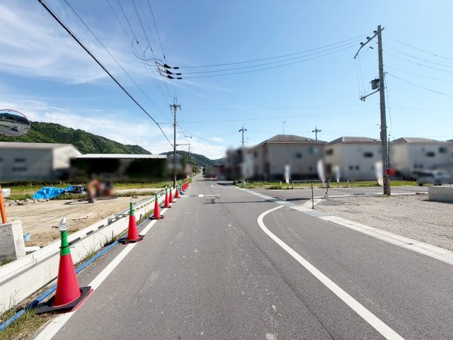 現地写真(5/14撮影)