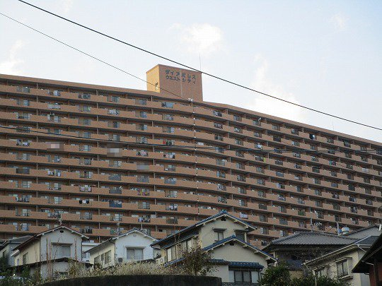 外観：334000236321