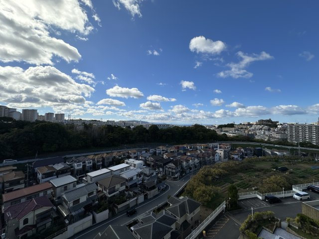 展望