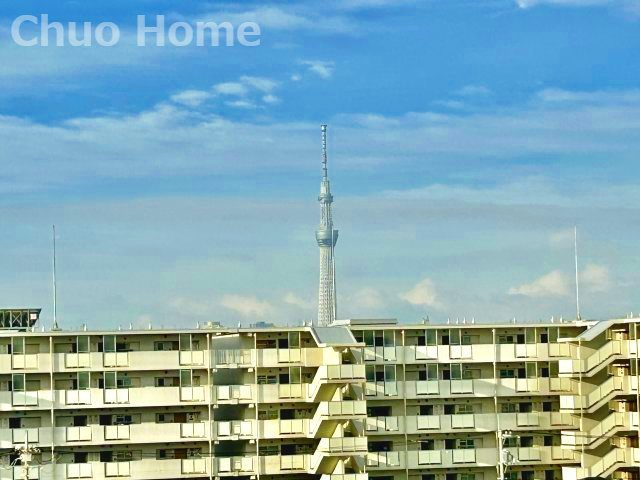 スカイツリーが望めます