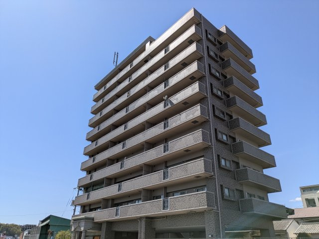 外観：334000239299