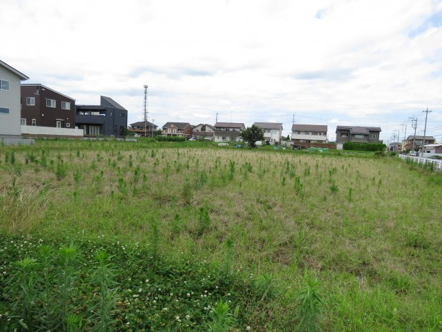 全区画土地