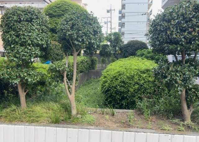 物件によっては、入居者が個人的に使用できる専用庭がついているものもあります。また、住宅の中にある土間の部分を庭と呼ぶこともあります。庭の用途は住む人によって変わり、それによってデザインもさまざまです。