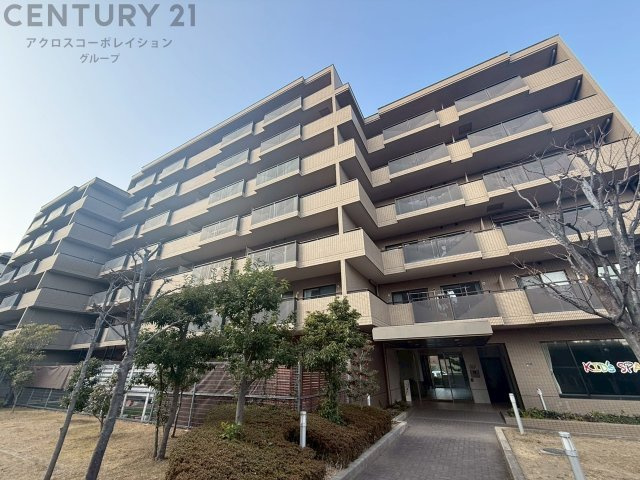 外観：328000589385