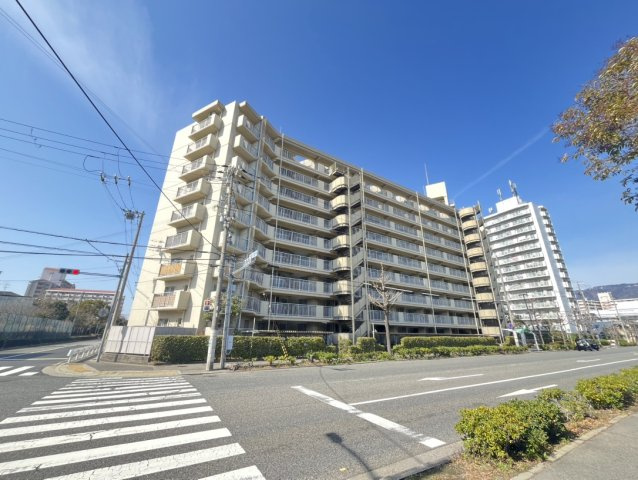 外観：328000634038