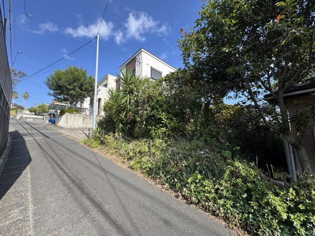 前面道路含む現地写真です