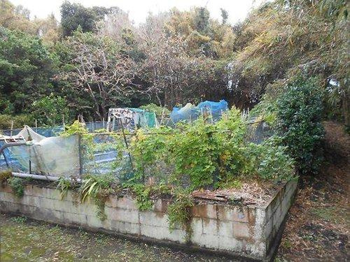 家庭菜園が楽しめます