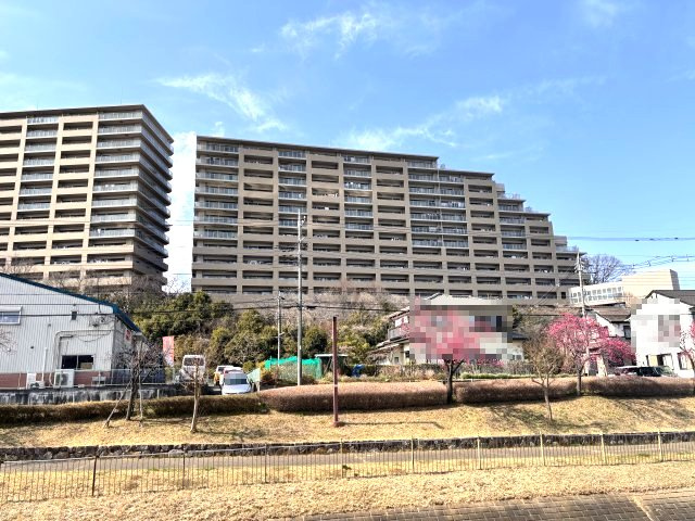 外観：313004690666