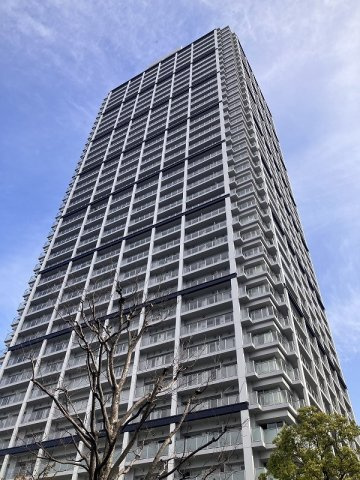 外観：313004743058