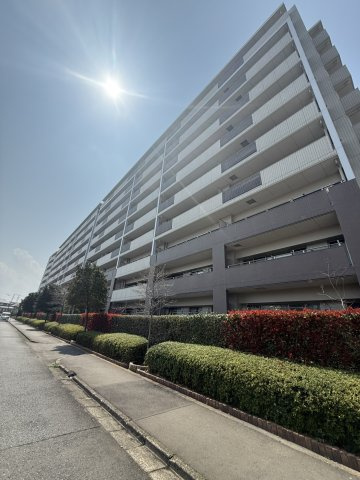 外観：308000176022