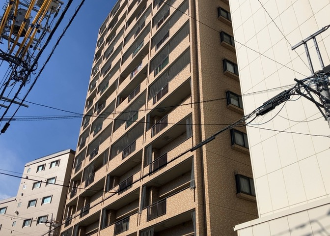 外観：313004559078