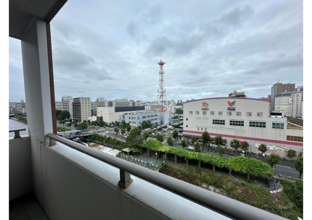 展望