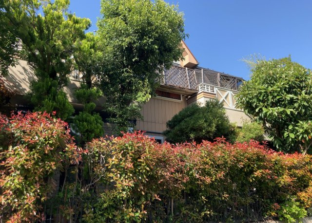 外観：313004303673