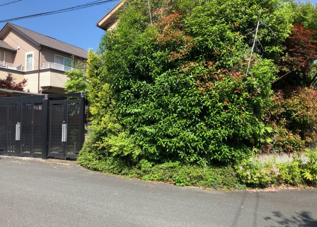 南側道路の場合は長い時間光を入れ込むことができるため、庭やリビングを道路側に持ってくることが多く土地価格も高い傾向にあります。一方北側道路だとリビングや庭が南側になりプライバシーを守ることができます。