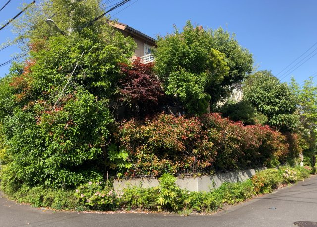 庭のある家に住むことのメリットとして、子どもたちの遊び場を確保できること、ガーデニングや家庭菜園を楽しめること、明るさを確保できることがあります。また、配置を工夫することでプライバシーが確保できます。