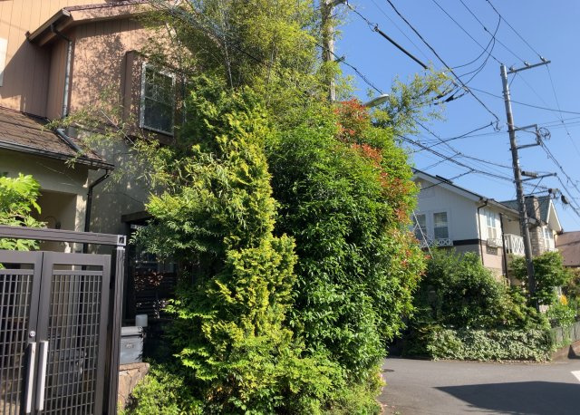 庭があることでガーデニングや家庭菜園はもちろん、こどもの遊び場やペットを放して遊ぶことができます。また、家の周囲に余裕があるということです。隣地との間があれば、十分な日当たりと、風通しが確保できます。