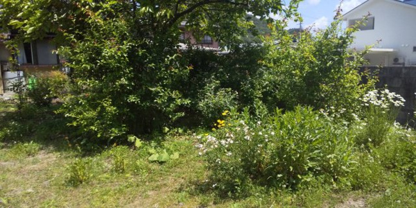 【高山市清見町三日町の中古戸建ての庭】