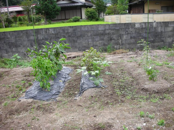 【高山市清見町三日町の中古戸建てのその他】