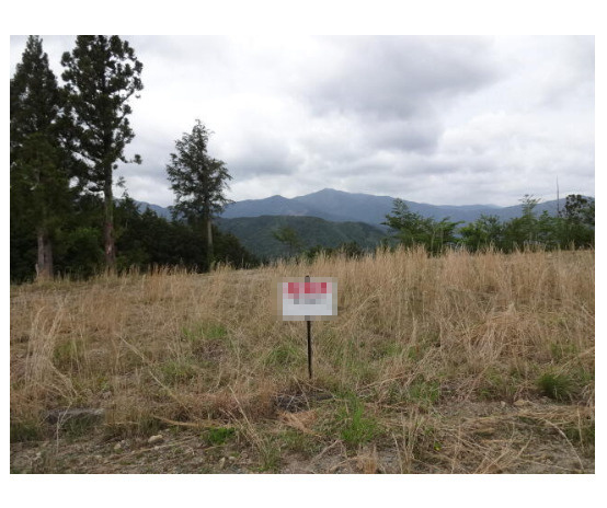 外観：322000530134