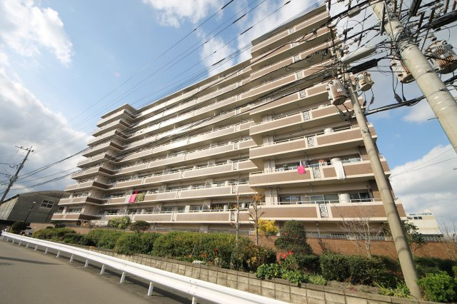 外観：340000279382