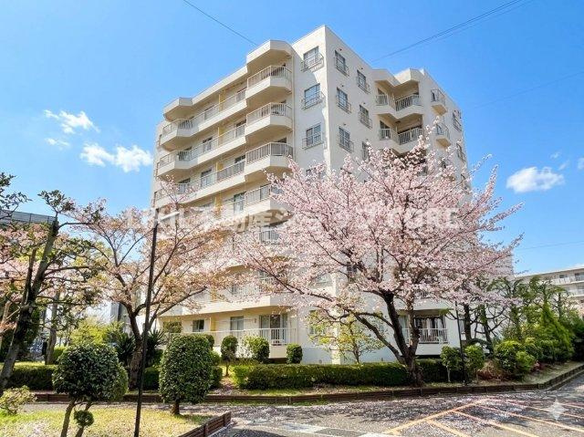 外観：314002696758