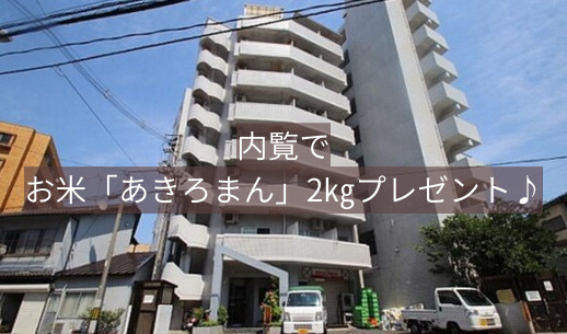外観：334000217556