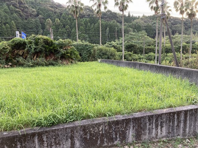 外観：346000040058