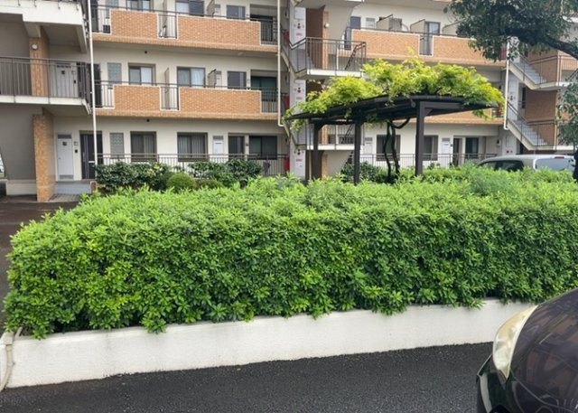 中庭（パティオ）とは、一つの建築物の内部に設けられた、壁などで囲われている庭のことを指します。コの字型、ロの字型が主流ですが、L字型の中庭もあります。最近では、インテリア性の高さからも人気があります。